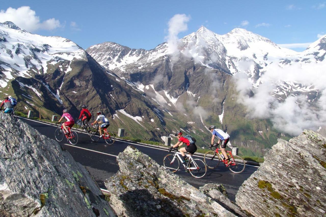Oberreiter's Alpennest *